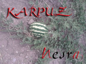 KARPUZ