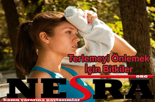 Terlemeyi Önlemek İçin Bitkiler