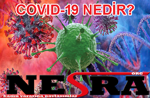COVID-19 NEDİR?